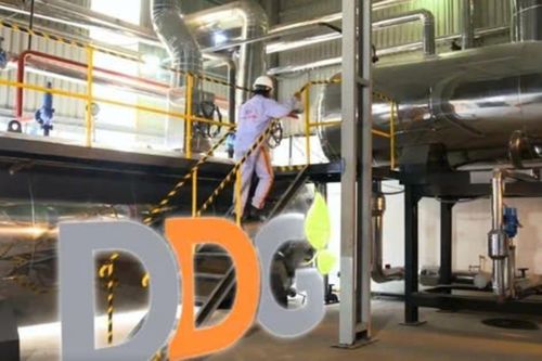 DDG bên bờ hủy niêm yết: 3 năm lỗ liên tiếp, nợ quá hạn chồng chất