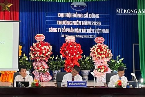 Chủ tịch Vosco: Không đầu tư, đội tàu sẽ già hóa