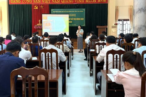 Tập huấn nghiệp vụ Quỹ Hỗ trợ nông dân cho 130 cán bộ cơ sở