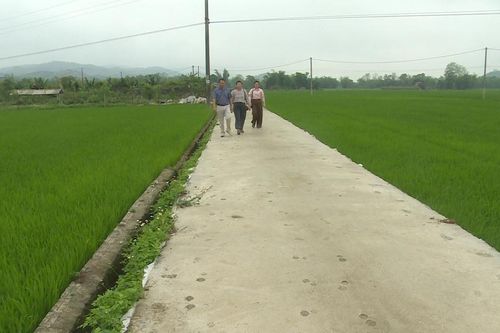 Phát triển hạ tầng tạo sự bứt phá trên 'vựa lúa' Hòa An
