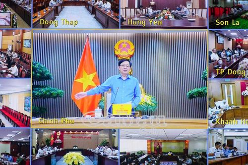 Xử lý nghiêm tình trạng mua bán mã số vùng trồng để bảo vệ uy tín nông sản