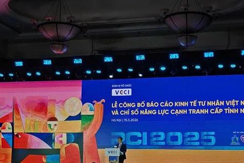 TP. HCM đứng đầu cả nước về chỉ số hiệu quả kinh tế tư nhân