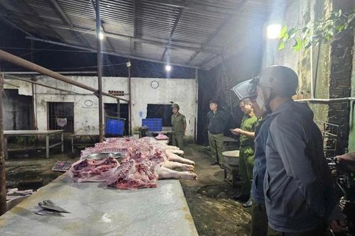 Công an tỉnh Lâm Đồng kiến nghị về thực trạng hoạt động giết mổ động vật