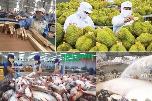 Xuất khẩu nông, lâm, thủy sản vượt 23 tỷ USD: Áp lực chuyển từ sản lượng sang giá trị
