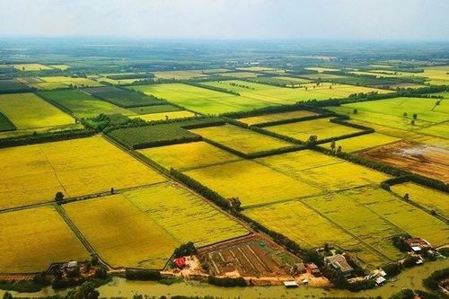 Sửa Luật Đất đai: Hết thời đầu cơ, gom đất để đón đền bù?
