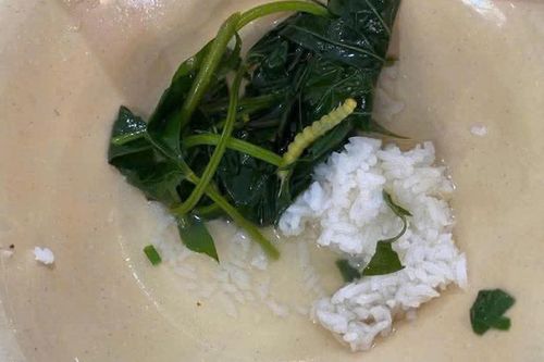 Xác minh thông tin 'vật thể lạ trong thức ăn' của sinh viên ở Huế