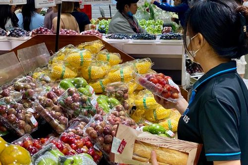 Tiểu thương lý giải mận hậu chưa vào vụ cao điểm nhưng giá siêu rẻ, sập sàn chỉ vài nghìn đồng/kg