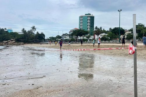 Nha Trang giăng dây khoanh vùng bảo vệ san hô vì nguy cơ tẩy trắng