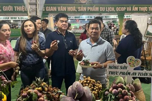 Thành phố Hồ Chí Minh hỗ trợ tiêu thụ mận hậu Sơn La