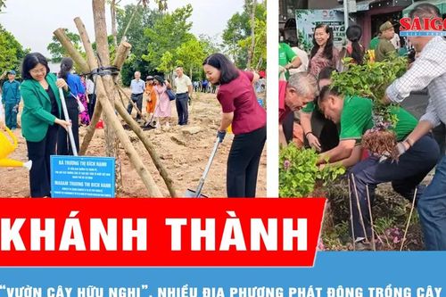Khánh thành 'Vườn cây Hữu nghị', nhiều địa phương phát động trồng cây xanh