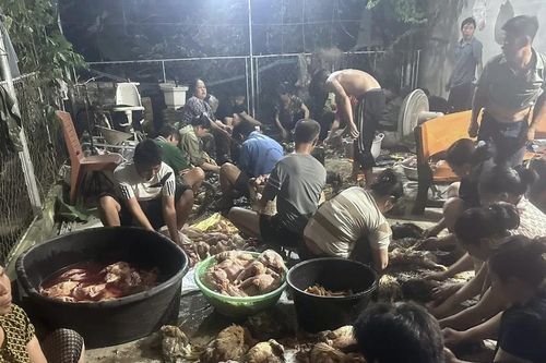 Hàng trăm con gà chết ngạt, bà con kéo đến mua ủng hộ