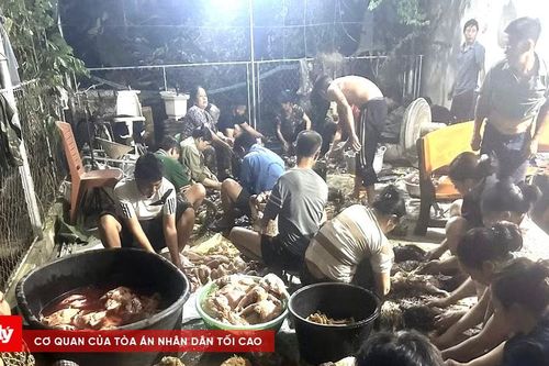 Người dân chung tay hỗ trợ chủ trại gà gặp nạn