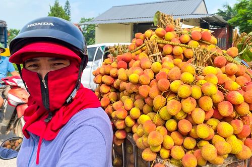 Vải sớm mất mùa, giá chênh gấp ba: Hàng đẹp thành 'của hiếm', hàng xấu bị ép giá
