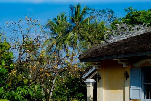 Nhà vườn, nhà rường Huế: Di sản sống giữa vòng xoáy hiện đại hóa