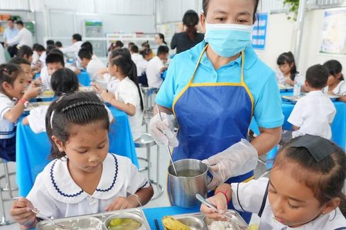 Tập đoàn TH đồng hành triển khai chương trình 'Bữa ăn dinh dưỡng học đường' năm học 2026-2027