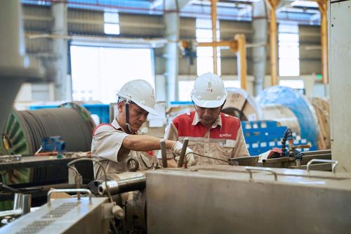 Doanh nghiệp bước vào 'cuộc đua xanh': Khi luật chơi toàn cầu được viết lại