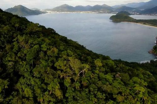Bước tiến đáng kể trong nỗ lực bảo vệ hệ sinh thái của Brazil