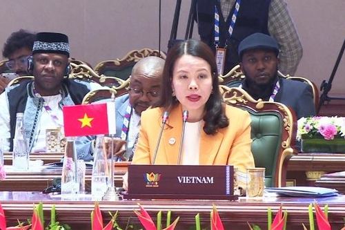 Việt Nam sẵn sàng thúc đẩy kết nối BRICS với khu vực châu Á - Thái Bình Dương