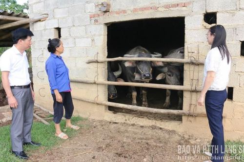 Kiểm tra công tác tiêm phòng vắc xin cho đàn vật nuôi
