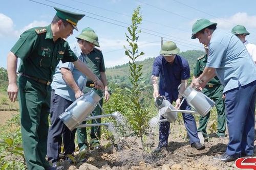 Phát động trồng cây kỷ niệm Ngày sinh Chủ tịch Hồ Chí Minh