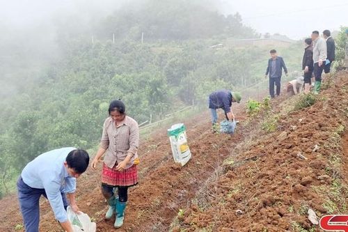 Quyết tâm nâng cao tiêu chí thu nhập trong xây dựng nông thôn mới