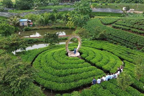 Mở rộng thị trường du lịch, hút dòng khách ngoại tỉnh
