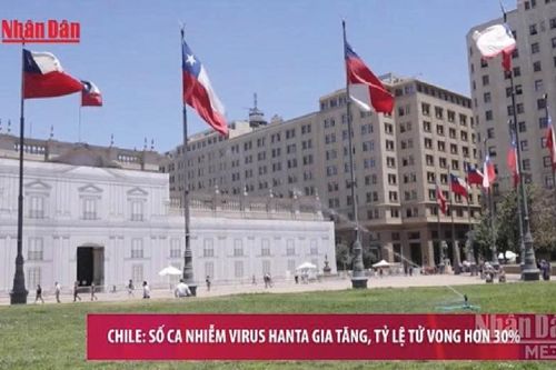 Virus Hanta & hành động của toàn cầu