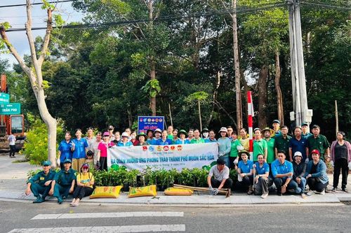 Rộn ràng phong trào 'Thành phố muôn sắc hoa' 2026 ở Côn Đảo
