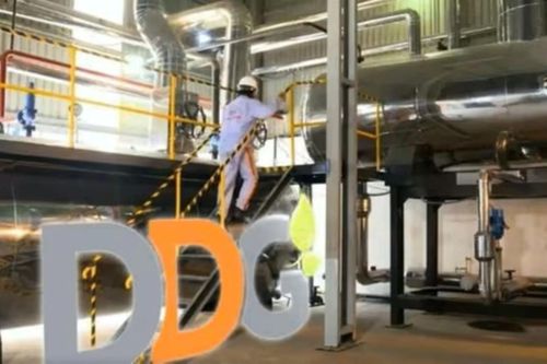 DDG đứng trước nguy cơ hủy niêm yết do thua lỗ