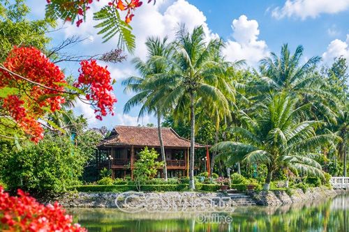 'Nhớ Cha trong mùa phượng đỏ'