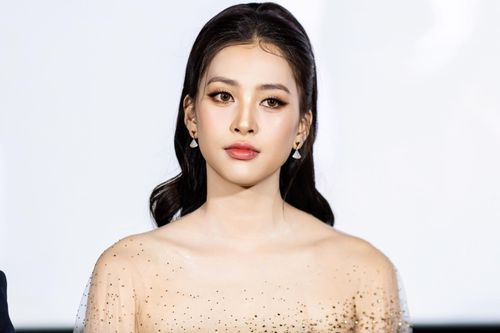 Bị nhận xét 'diễn đơ', 'bình hoa di động', Hoa hậu Tiểu Vy nói gì?