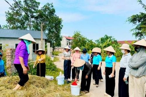 Xã Trung Giã: Ra mắt mô hình 'Cánh đồng sạch', quyết tâm 'Nói không với đốt rơm rạ'