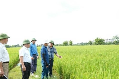 Xã Chuyên Mỹ đẩy mạnh cơ giới hóa, nâng cao hiệu quả sản xuất lúa xuân