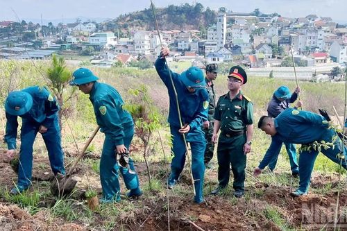 Lâm Đồng: Đồng loạt ra quân trồng cây mai anh đào kỷ niệm ngày sinh nhật Bác tại phường Xuân Trường-Đà Lạt
