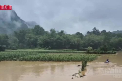 [Video] Mưa hơn 300mm gây ngập sâu tại Cao Bằng, ô tô khách bị lũ cuốn trôi