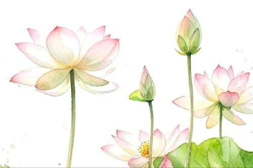 Mãi nhớ Người