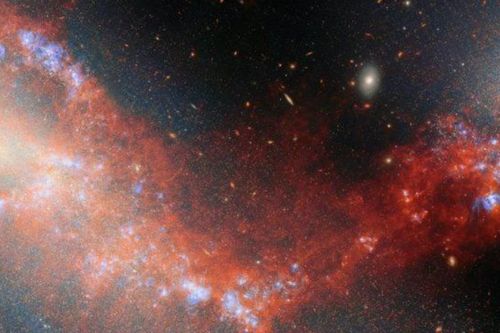 Hình ảnh tuyệt đẹp cầu nối cặp thiên hà lùn NGC 4490 và NGC 4485