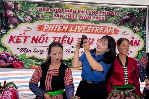 Thanh niên livestream đưa đặc sản Tây Bắc về xuôi