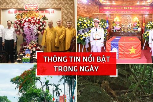 Nghệ An: Thông tin nổi bật ngày 17/5