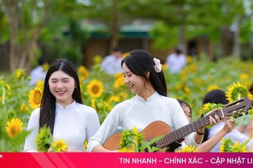 Rực rỡ vườn hoa hướng dương ở ngôi trường ven biển Hà Tĩnh