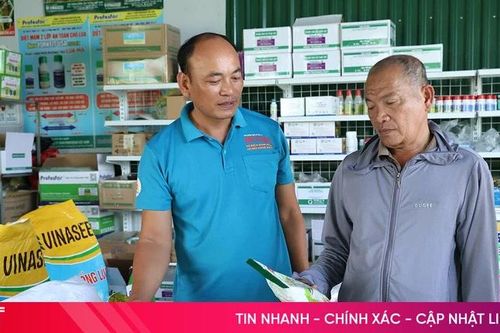 Kiểm soát chặt vật tư nông nghiệp trước cao điểm sản xuất hè thu