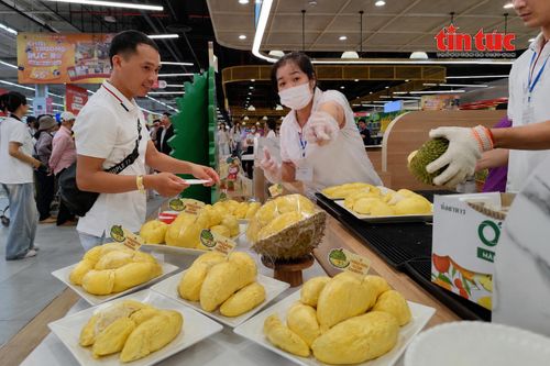 Buffet sầu riêng thưởng thức không giới hạn hút khách tại TP Hồ Chí Minh