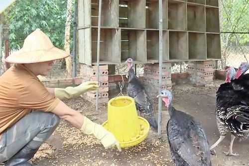 Vườn Quốc gia Bến En tích cực cứu hộ, chăm sóc và bảo tồn động vật hoang dã