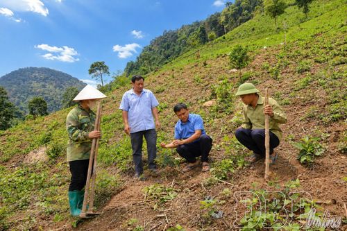 Tháng Năm nhớ Bác