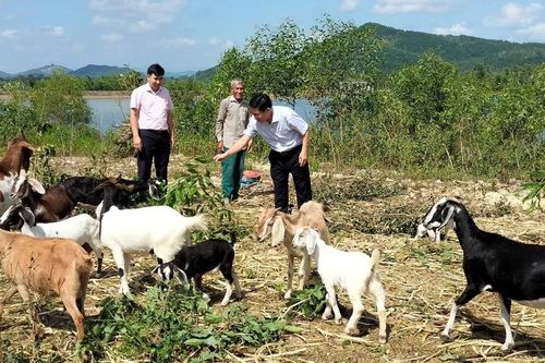 Trợ lực cho người lao động tạo sinh kế bền vững