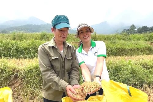 'Hạt nhân' sáng tạo trong kinh tế tập thể
