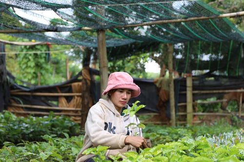 Trao 'cần câu', phụ nữ Lâm Đồng vững bước lập nghiệp