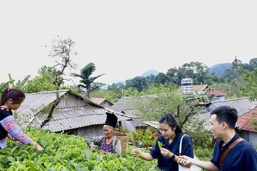 Vùng cao khắc ghi lời Người
