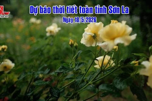 Dự báo thời tiết toàn tỉnh Sơn La ngày 18/05/2026