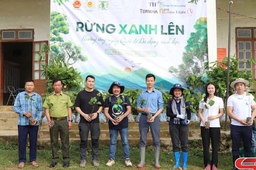 Sự kiện 'Rừng xanh lên 2026'